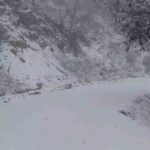 Buldan’daki ormanlık alan kış yağmuruyla beyaza dönüştü