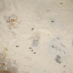 Yenişehir’de Zabıta Ekipleri, Ramazan Öncesi Fırınları Denetledi, Hijyen İhlali Kayan YESAŞ’a Ceza Verildi