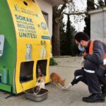 Yıldırım Belediyesi, soğuk havalarda sokak hayvanları için çalışmalarını artırdı.