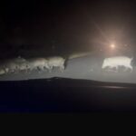 Eskişehir’de yaban domuzu sürüsü, amatör kamera tarafından görüntülendi.