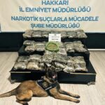 Yüksekova’da hafif ticari kamyonette 30 kilogram skunk bulundu, 2 kişi gözaltına alındı.